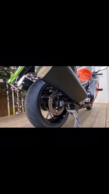 ЯПОНСКИЙ БЕС Hayabusa #рекомендации #moto #shorts #hayabusa #япония #японское смотреть онлайн