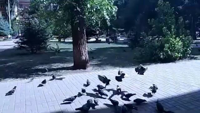 Влог: МАРКЕР ГИГАНТ ЗА 200 руб., Жесть на площади смотреть онлайн