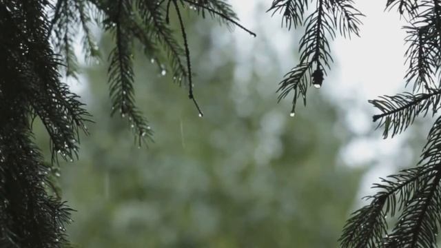 RELAXING MUSIC with RAIN for sleep and MEDITATION # Успокаивающая Музыка, Звуки Дождя смотреть онлайн