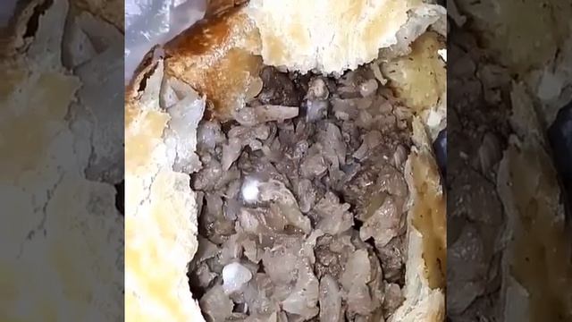 Живая начинка в ростовской самсе