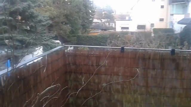 Ein Vogel auf dem Balkon смотреть онлайн