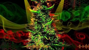 Ragga Jungle- DnB Mix, Rastafari Roots Vol. 15 (mixed by King Wuppi) 28.02.2020