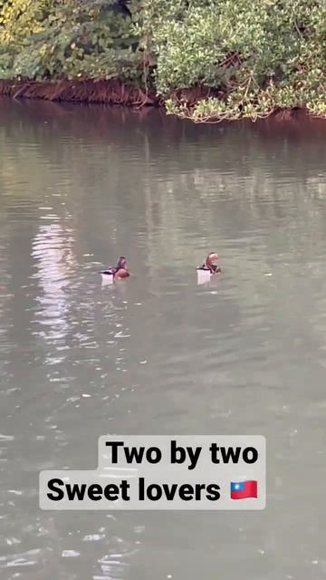 August 29, 2022 смотреть онлайн