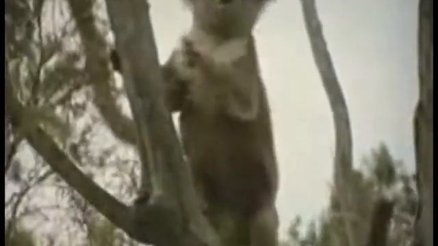 Sweet Valley - Air Tight (Koala Video Edit) смотреть онлайн