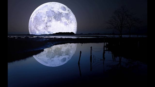 Dama De Plata - Lufebear