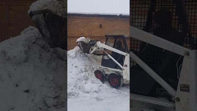 Bobcat 315