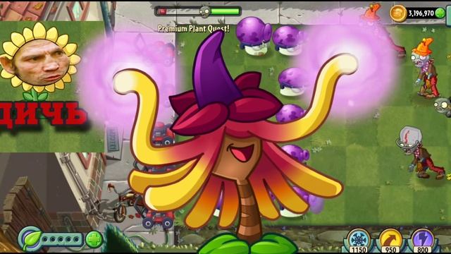 что не так с комьюнити пвз?