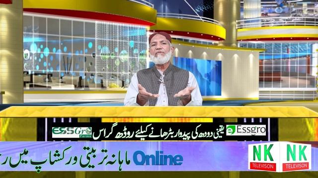 Utilization of road Grass| Rhode Grass in Pakistan| Full of protein | food for animal |Nidaekisan t смотреть онлайн