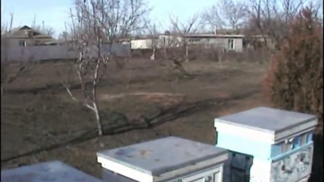 Зимний облет пчел смотреть онлайн