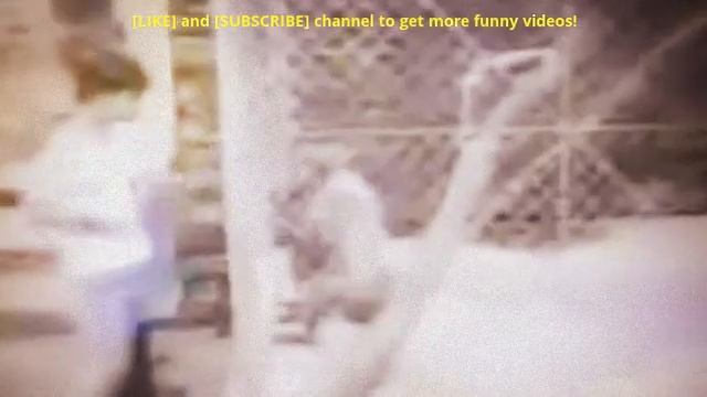 Monkey dick on the planet смотреть онлайн