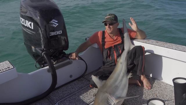 Blacktip Shark {Catch Clean Cook} Juicy Shark Chops смотреть онлайн