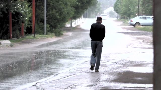 черешня в Алмалыбаке 3 июня смотреть онлайн