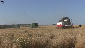 Легендарный комбайн ДОН 1500Б на уборке пшеницы