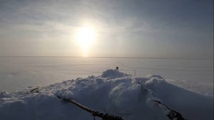 (67). И снова на рыбалку. Проверка перемёта. 24.02.2022