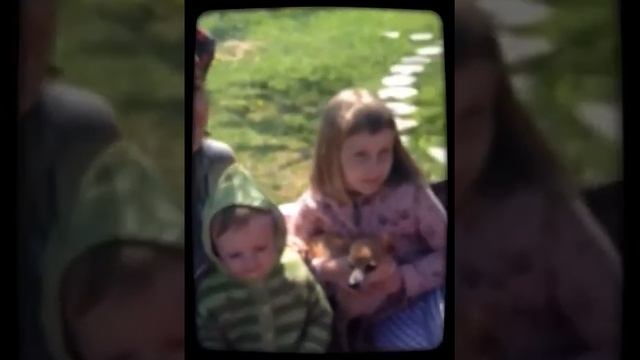 14.05-15.05 2016 Майские выходные. (Created with @Magisto) смотреть онлайн