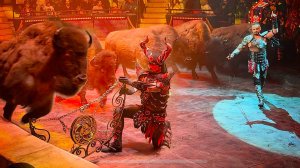 Земля ДРОЖАЛА под ногами!Стадо канадских бизонов на арене! Королевский цирк Гии Эрадзе и Росгосцирк