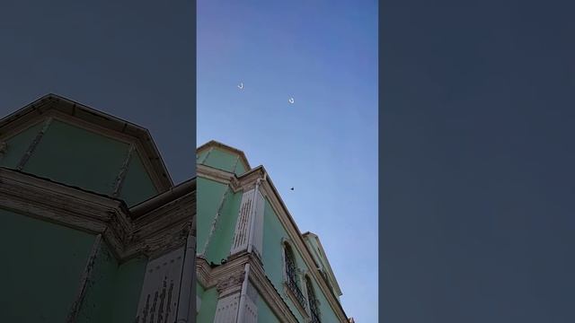 Торцовые голуби смотреть онлайн
