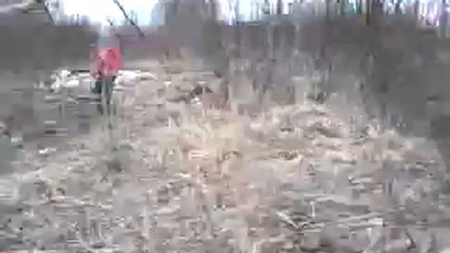 Неизвестная часть кириши