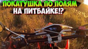 ПОКАТУШКА В ПОЛЯХ на ПИТБАЙКЕ PROGASI SMART 150!