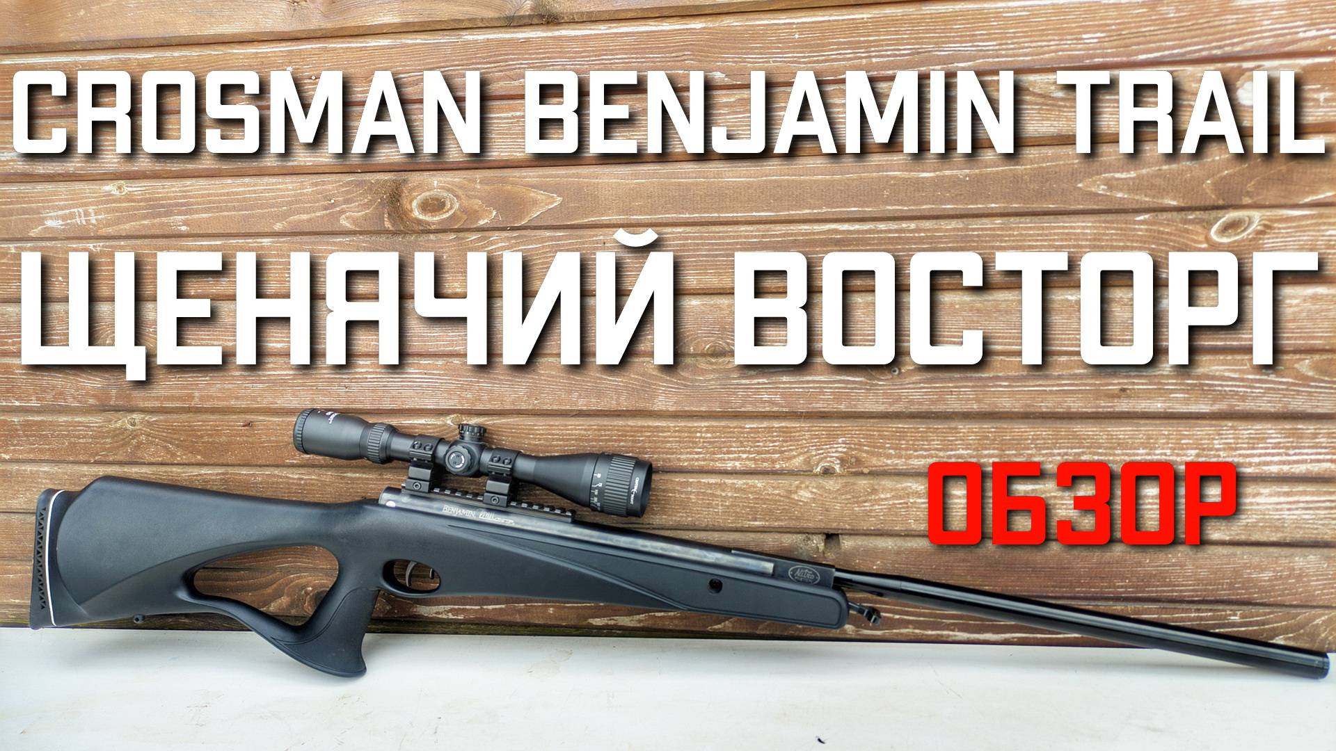 Crosman Benjamin Trail NP 4 5 мм ОБЗОР И ЩЕНЯЧИЙ ВОСТОРГ от пневматической винтовки #crosman смотреть онлайн