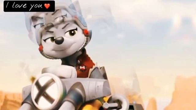 Gasket x Rex ХАБИБ-Ягода малинка