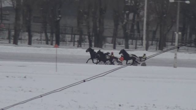 Московский ипподром. Бега. 10.12.17. Заезд 5(722). ПРИЗ В ЧЕСТЬ КОНСТИТУЦИИ РОССИИ смотреть онлайн