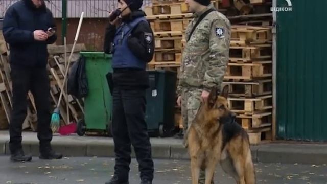 Переполох у Сумах смотреть онлайн