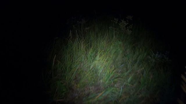 (1) Чарующее приключение на товарняках по стране смотреть онлайн