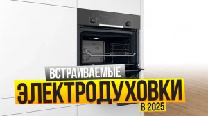 Лучшие встраиваемые электрические духовые шкафы: Топ-10 электродуховок. Рейтинг 2025!