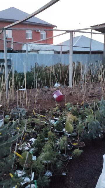 Вот как выглядит площадка поздним вечером 30 марта