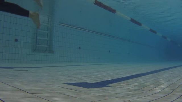 4 Тренировка 20.11.2015, фридайвинг, freediving.spb.ru смотреть онлайн