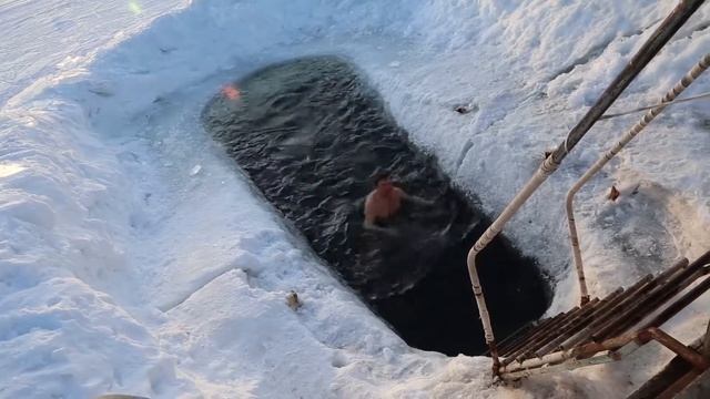 Моржи смотреть онлайн