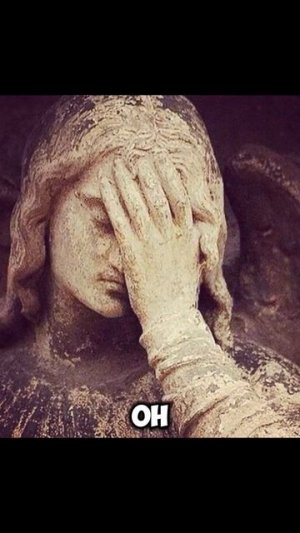 А ты падал во сне? #сон #теория #zloered