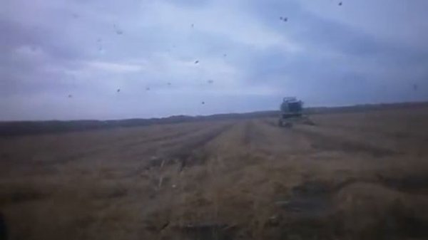 Уборка риса ст Чебургольская