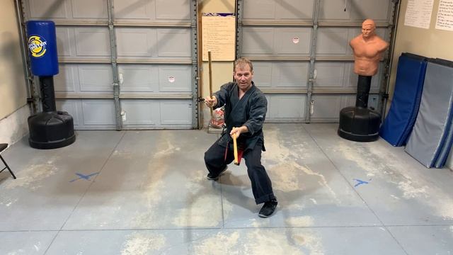 KENPO Shield and Storm (Long Form 7) - Jamie Seabrook смотреть онлайн