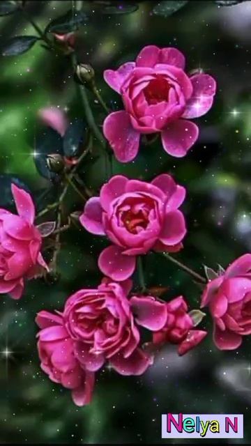 Доброе Утро. Видеооткрытка на каждый день смотреть онлайн