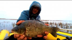 ПЕРВЫЕ КАРАСИ 2025. ВОТ ЭТО ЛАПТИ!!! РЫБАЛКА НА ПОПЛАВОК