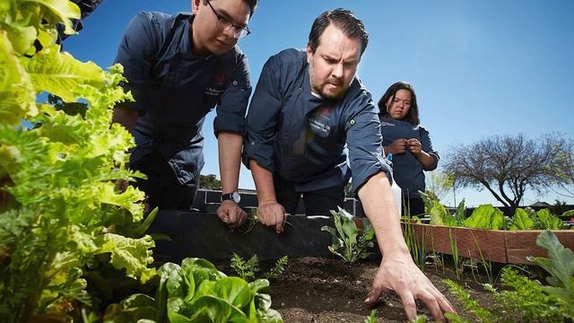 Do NOT Move To Las Vegas If You Don’t Like These Things | Top Reasons to Avoid Las Vegas NV смотреть онлайн