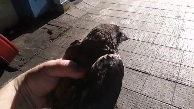 Чужой в цеху" Часть 2 смотреть онлайн