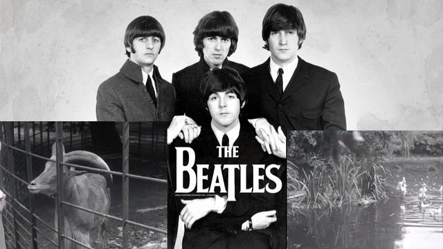 The Beatles - The Continuing Story Of Bungalow Bill #thebeatles #beatles #karaoke #instrumental смотреть онлайн