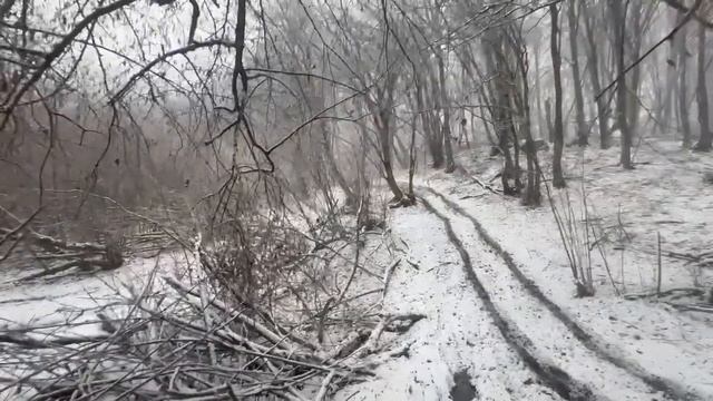 17 февраля 2024 г. смотреть онлайн