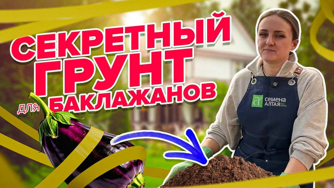 ПОСЕВ БАКЛАЖАНОВ ПРАВИЛЬНО. ГРУНТ ДЛЯ БАКЛАЖАНОВ смотреть онлайн