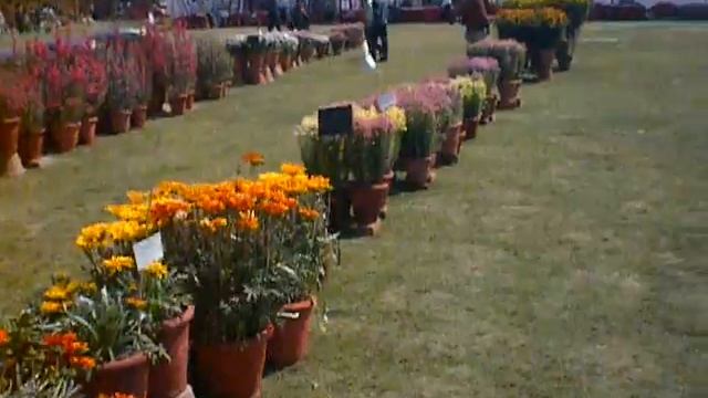 Delhiwonders : DDA Flower Show 2011 смотреть онлайн