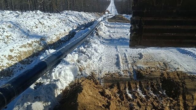 Более подробно об условиях текущей вахты 👇 More about the conditions of the current watch 👇 смотреть онлайн