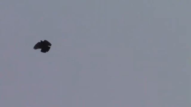 В гостях у Толи смотреть онлайн