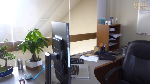 Blue World Office Tour | BLUE WORLD EXTRA смотреть онлайн