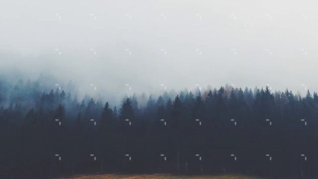 Dynamic Glitch Slideshow - Premiere Pro Template смотреть онлайн