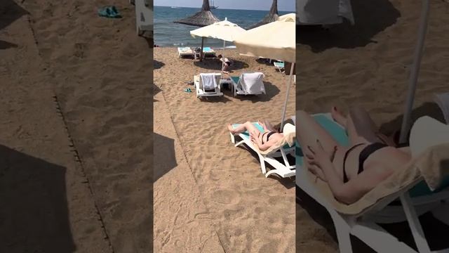 Familjen är på semester Arnor De luxe 2022 смотреть онлайн