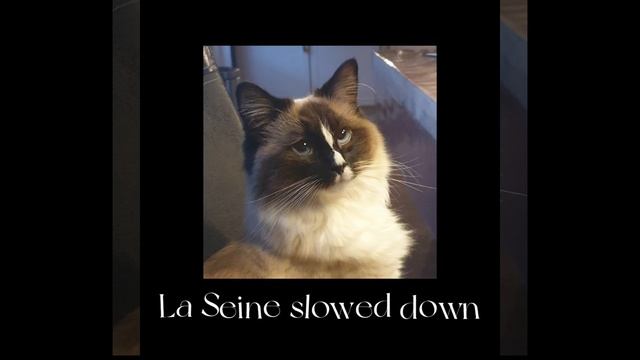 La Seine - Slowed down! смотреть онлайн