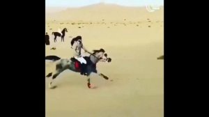 Красивый нашид с лошадью